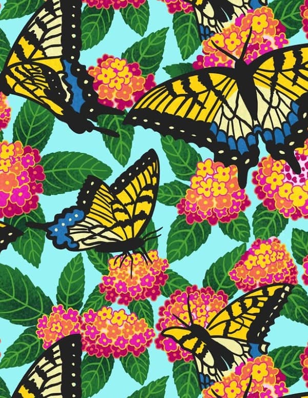 Artwork by Hannah Pearlman