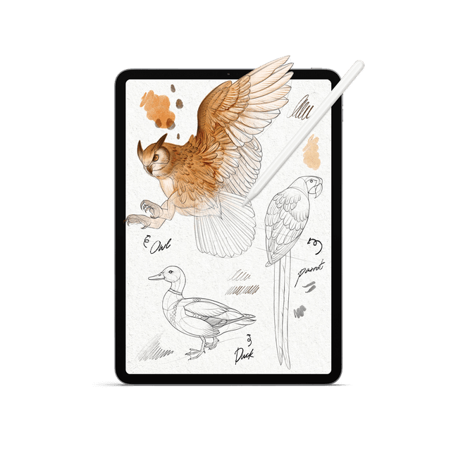 Wildlife Drawing Templates