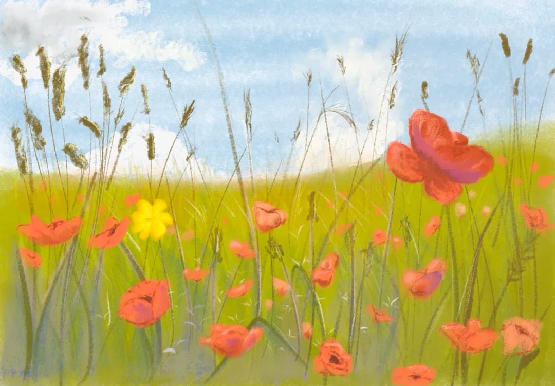 Artwork by Terry